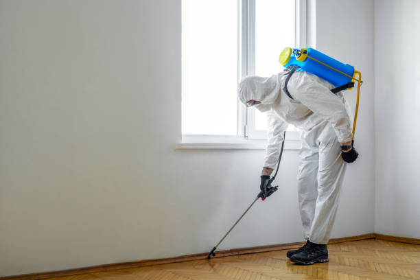 Indoor Pest Control in Bladensburg, MD